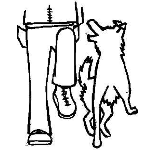 fam-walking.jpg