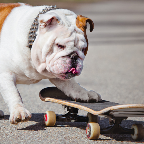 tricks-skateboard.jpg